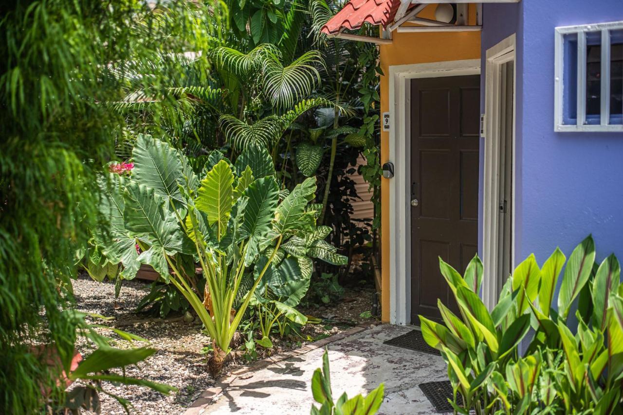 Jaco Lodge Quiet Place (Adults Only) Εξωτερικό φωτογραφία
