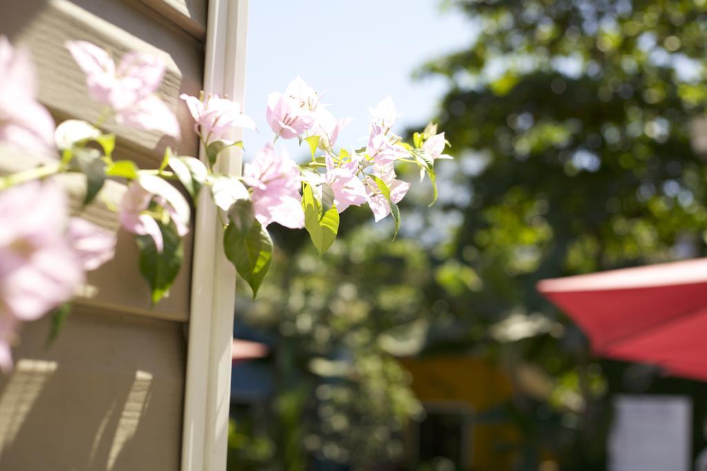 Jaco Lodge Quiet Place (Adults Only) Εξωτερικό φωτογραφία